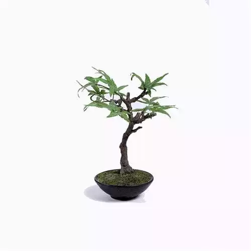 Artificial Japanese Maple Tree, 25CM